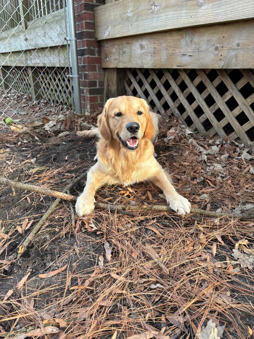 Charlie outside