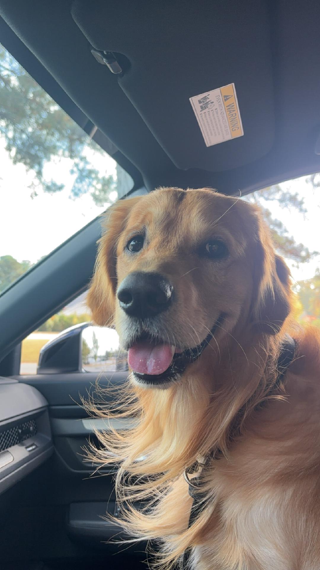 car ride
