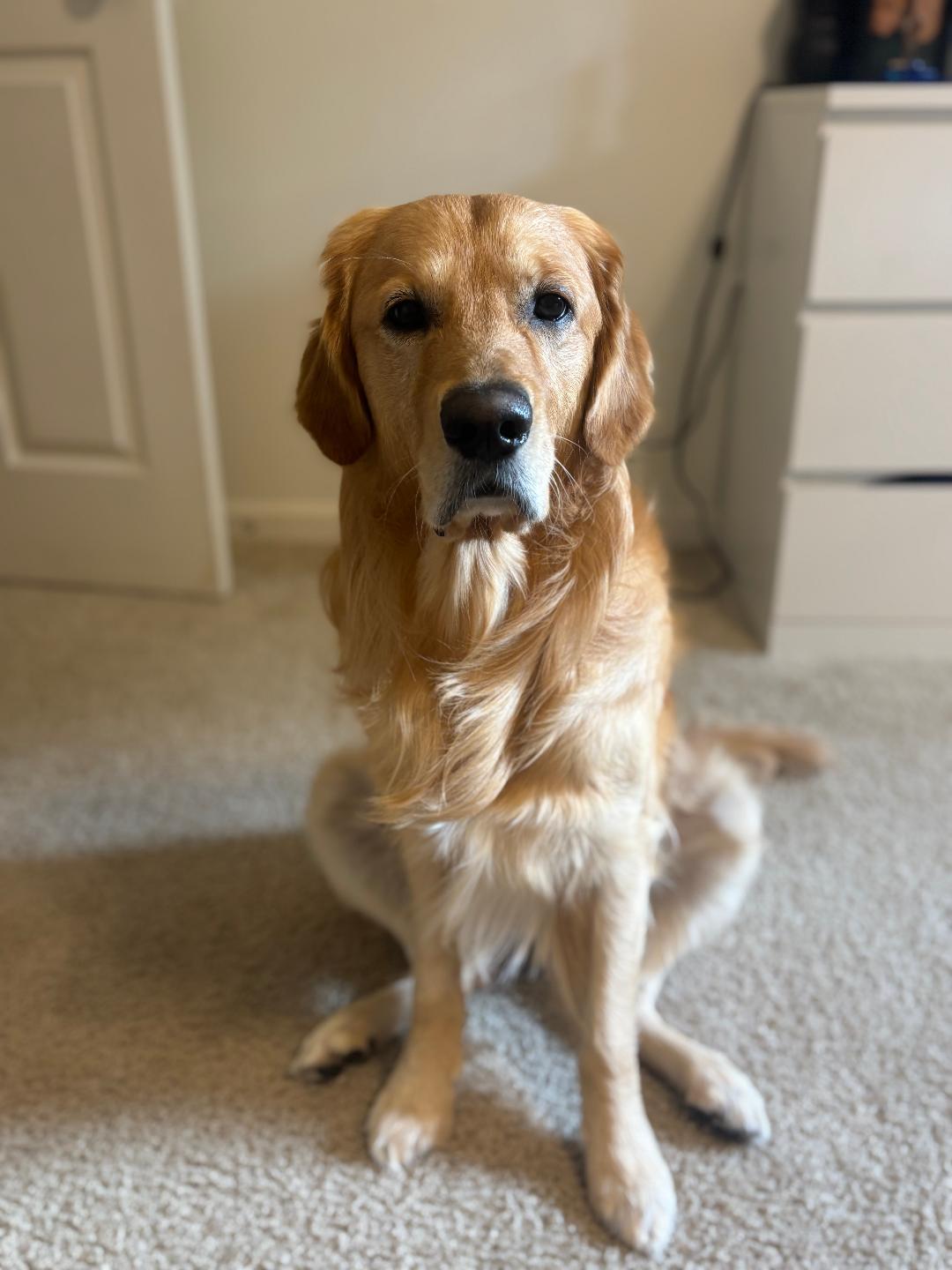 handsome